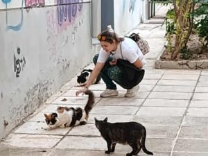 Flora hurkt op de stoep en voert drie zwerfkatten