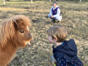 Een jongen kijkt oog in oog met een shetlandpony op het weiland van de opvang