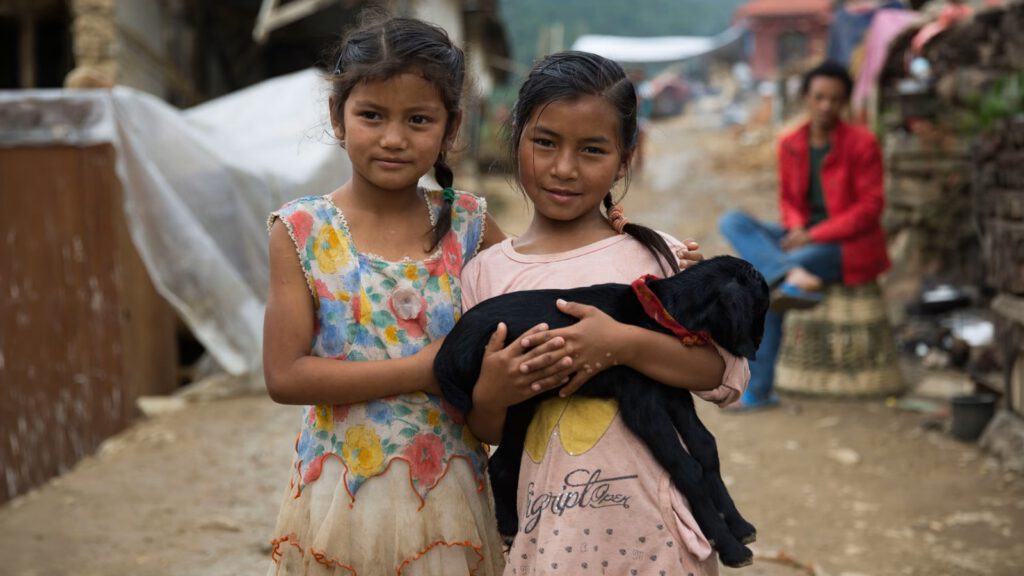 Dieren in een overstroomd gebied in Nepal na de vloedgolf