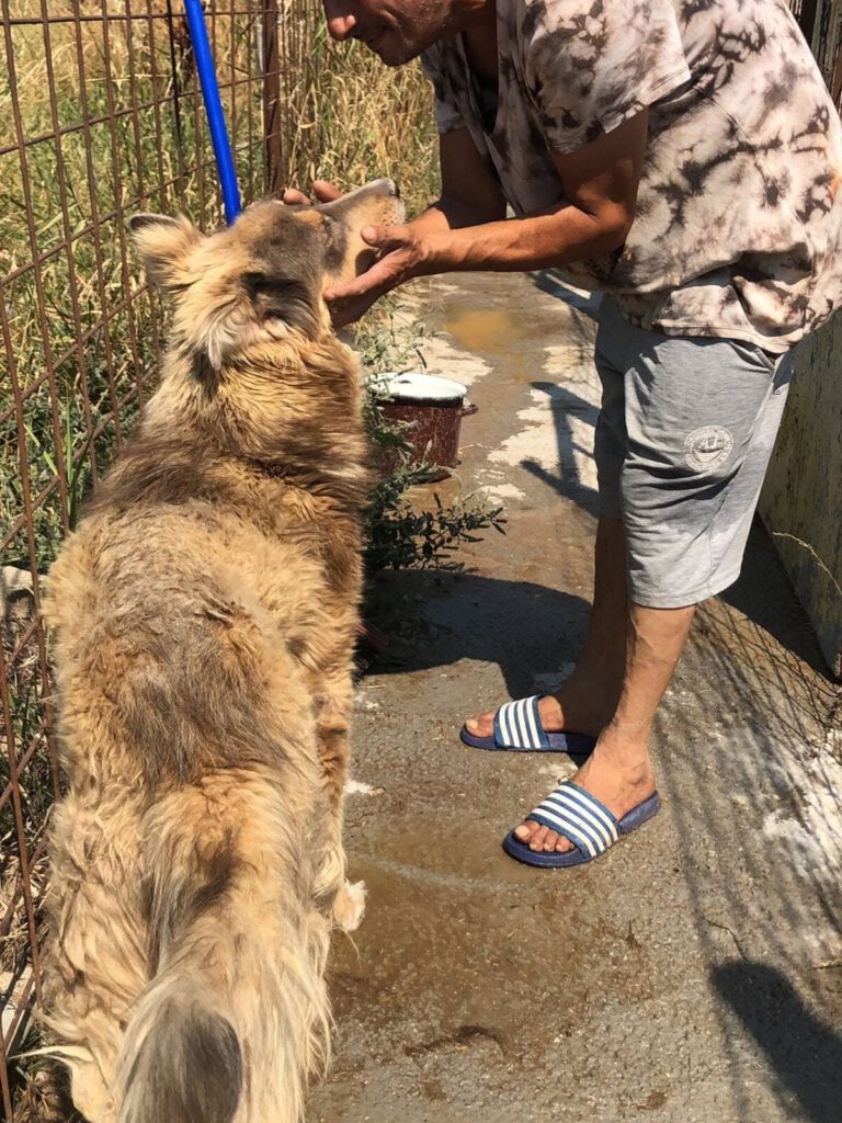 Een langharige hond bij Florian
