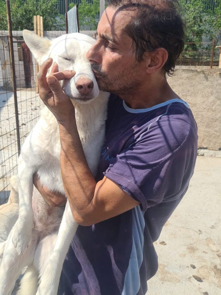Florian knuffelt een witte hond
