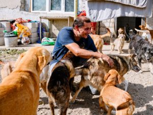Florian aait een groep honden