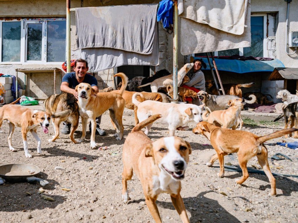 Florian zit tussen tientallen honden op het erf