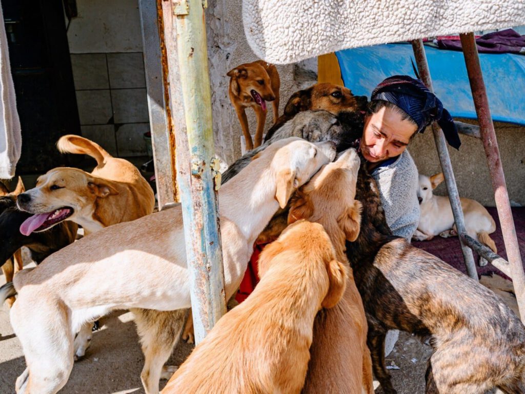 Florians tante, omringd door honden